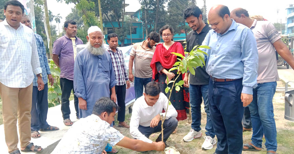 নির্বাচনী অঙ্গীকার বাস্তবায়নে নীলফামারীতে বৃক্ষরোপণ কর্মসূচি শুরু