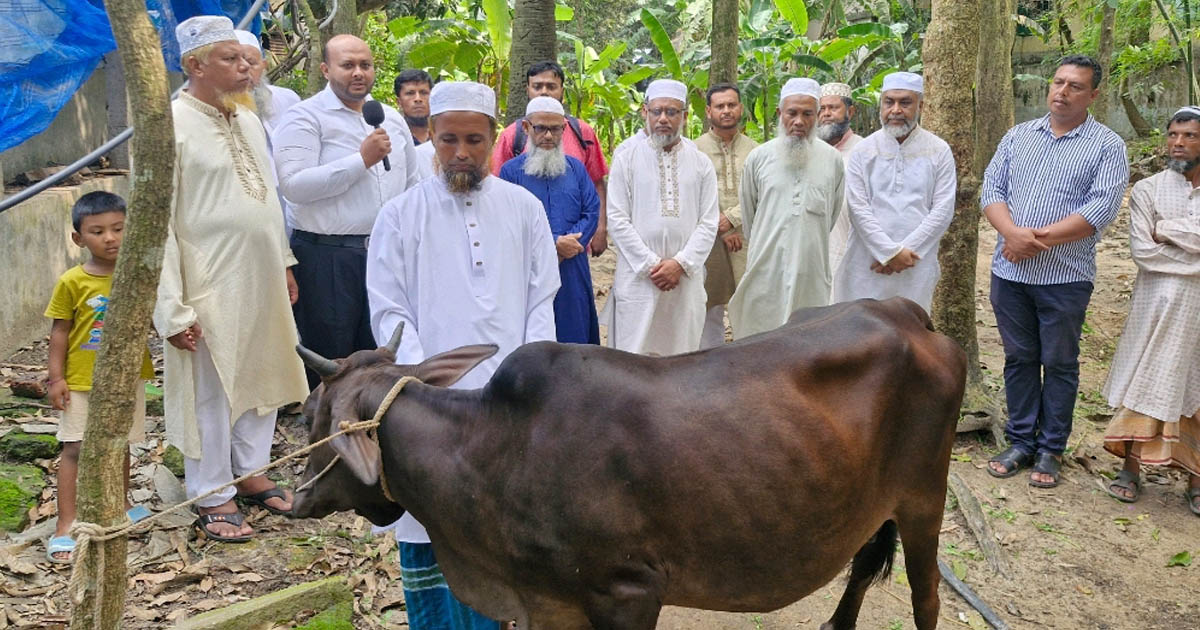 ক্ষতিগ্রস্ত খামারিকে দুধেল গাভী উপহার দিল জামায়াতে ইসলামী