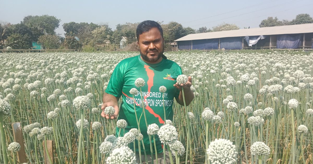 গোয়ালন্দে পেঁয়াজের বীজ চাষ করে কৃষক হুমায়নের বাজিমাত 
