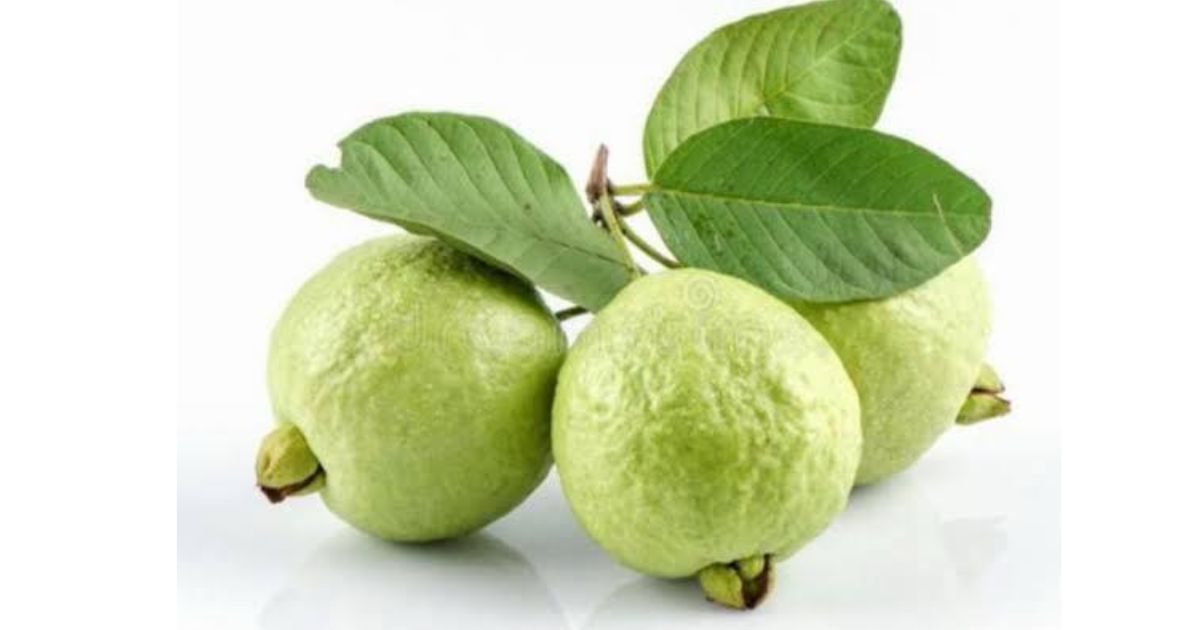 পুষ্টির ভাণ্ডার পেয়ারা: নিয়মিত খাওয়ার উপকারিতা