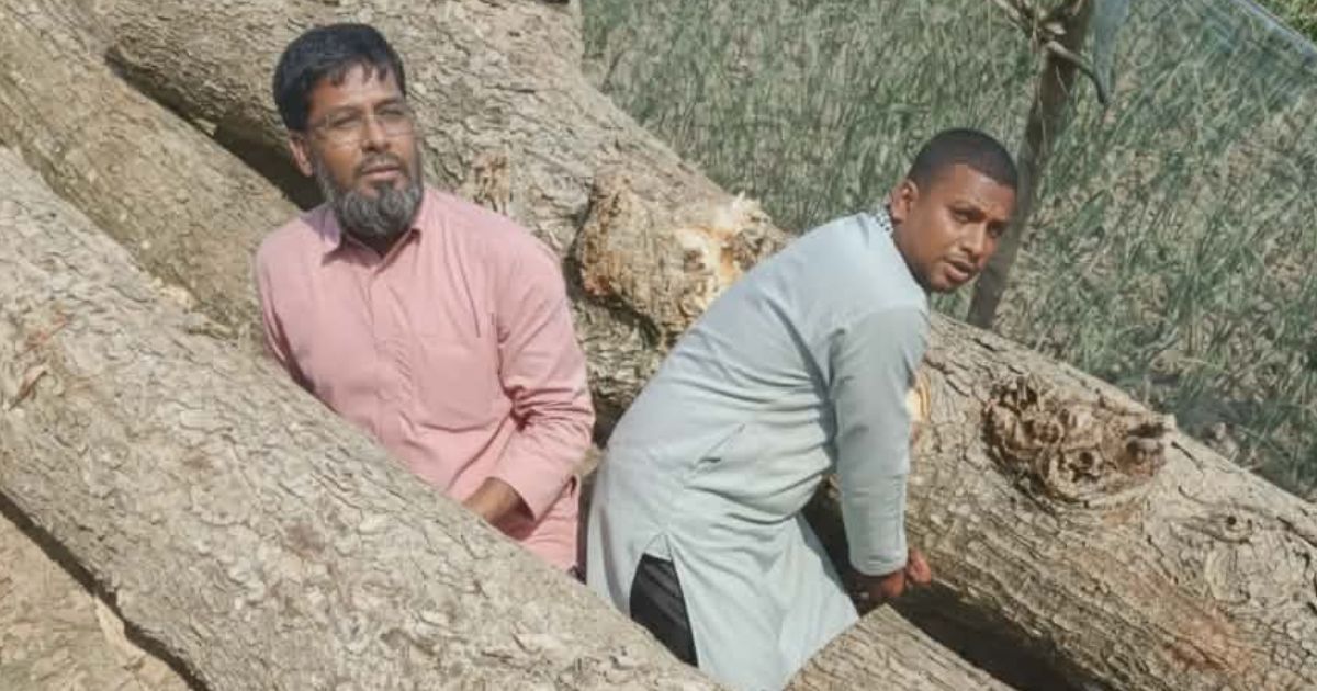 বালিয়াকান্দিতে সরকারি গাছ কাটায় বাধা দেওয়ায় হামলা