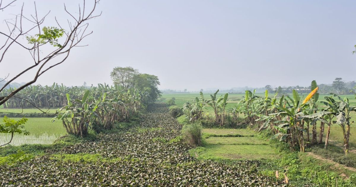 জিয়াউর রহমানের স্মৃতিবিজড়িত জালালপুর খাল দ্রুত পুনঃখননের দাবি স্থানীয়দের