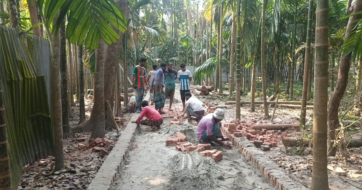 কাউনিয়ায় এডিপির রাস্তা নির্মাণে অনিয়মের অভিযোগ, ভিডিও ভাইরালের পর ব্যবস্থা