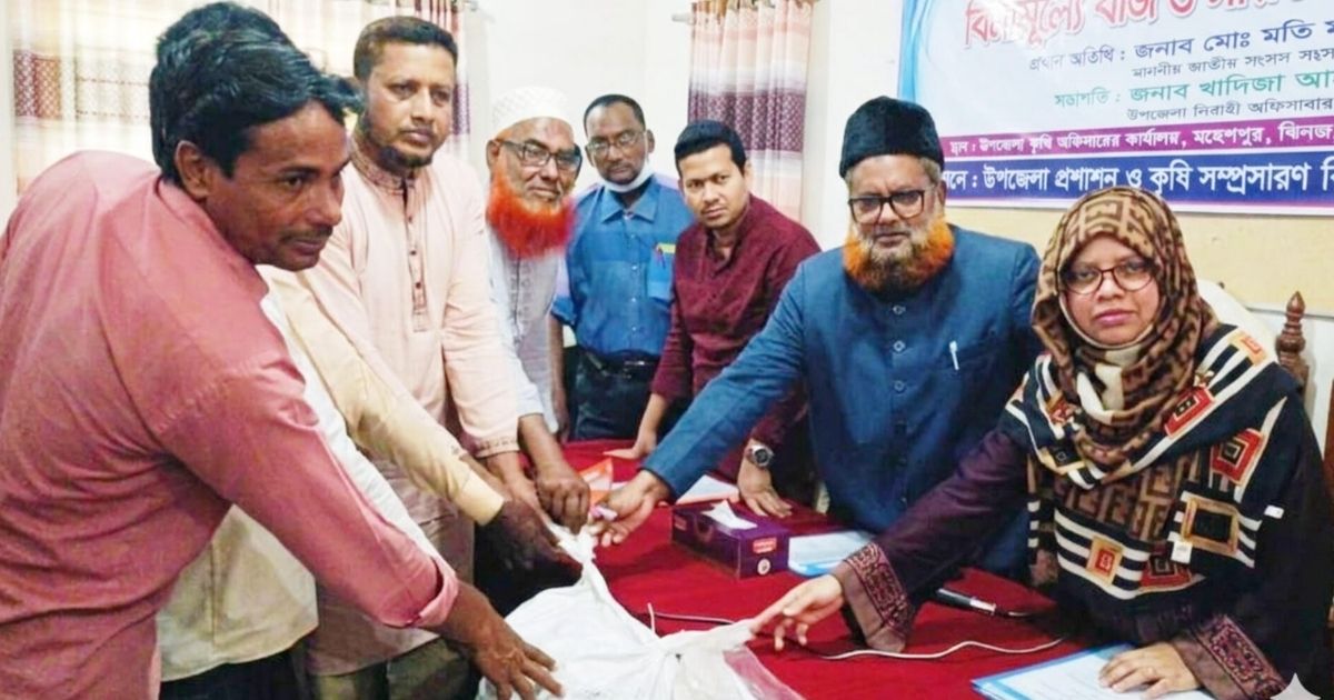 মহেশপুরে হলুদ চাষে প্রণোদনা, ৪০ কৃষকের মাঝে বীজ ও সার বিতরণ