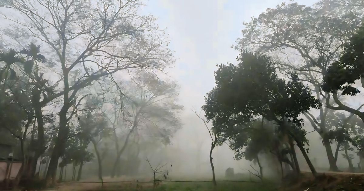 কটিয়াদীতে ফাল্গুনেও দেখা মিলছে ঘন কুয়াশার