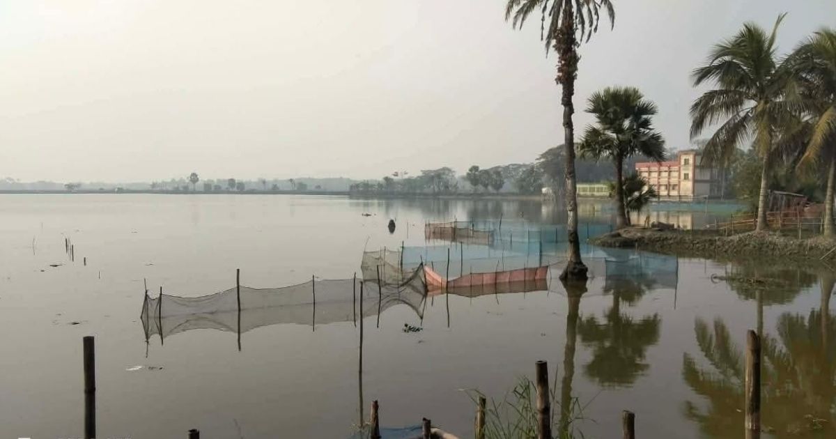 এবারও বোরোর আবাদ হলো না ৭ হাজার হেক্টর জমিতে