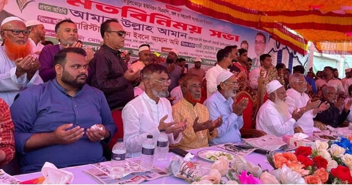 সারা দেশে ধানের শীষের গণজোয়ার সৃষ্টি হয়েছে: আমানউল্লাহ আমান