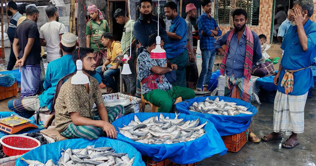 নিষেধাজ্ঞা শুরুর আগে কেবি বাজারে ভিড়: ইলিশের অতিরিক্ত দামে হতাশ ক্রেতারা