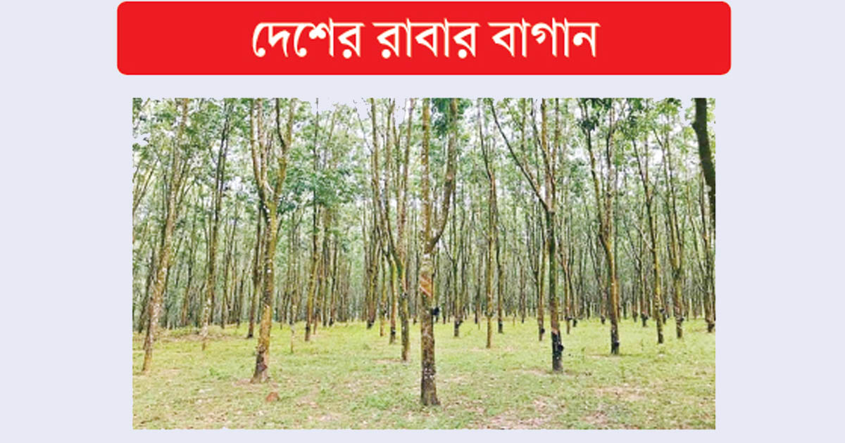 বেসরকারিতে লাভ সরকারিতে লোকসান