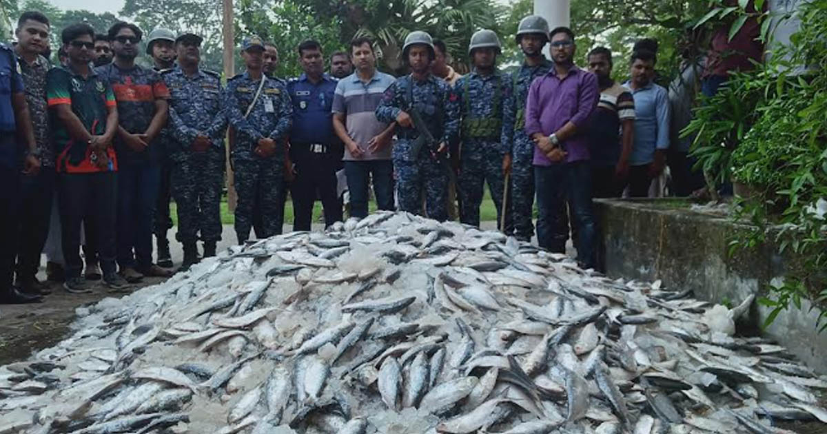 বরগুনায় থানা থেকে জব্দকৃত জাটকা ইলিশ লুট