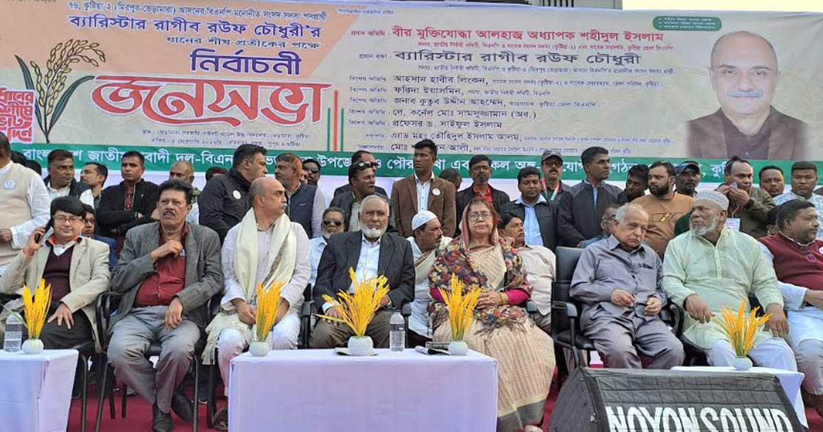 ভেড়ামারায় বিএনপির বিশাল জনসভা