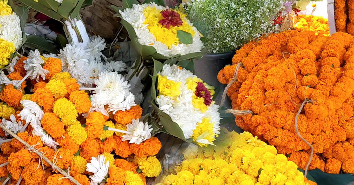 বিজয় দিবসে ফুলের তোড়া: শ্রদ্ধা, সংগ্রাম আর স্বপ্ন মেশানো ফুটপাতের অর্থনীতি