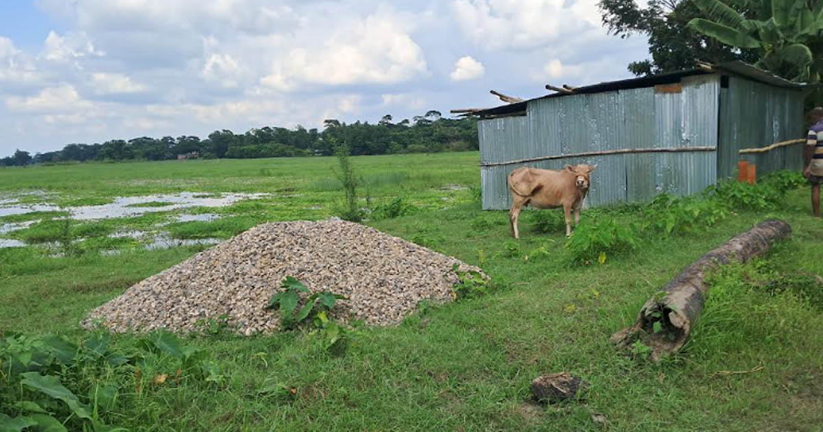 চাঁদপুরে কালভার্ট নির্মাণ না করেই অর্ধকোটি টাকা বিল উত্তোলন