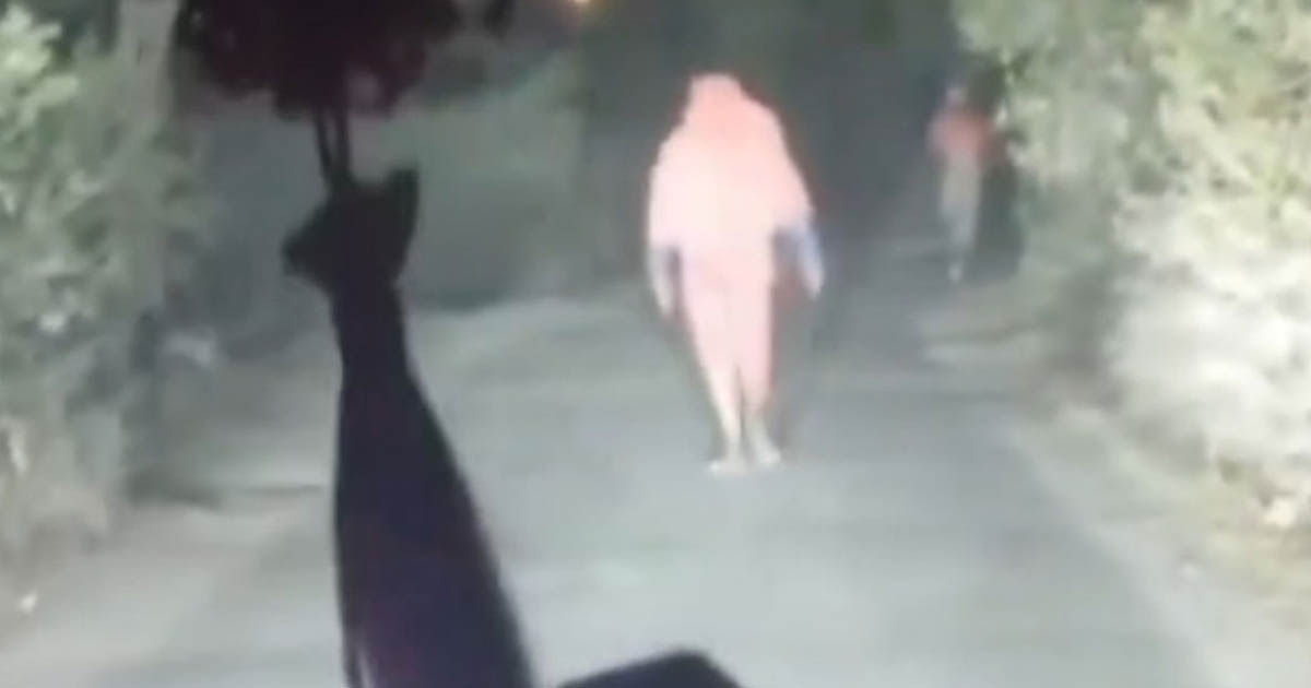 ভেড়ামারায় প্রাইভেট কার থামিয়ে ডাকাতি