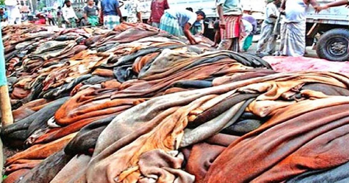 ঈদুল আজহায় গরু ও খাসির চামড়ার নতুন দাম নির্ধারণ