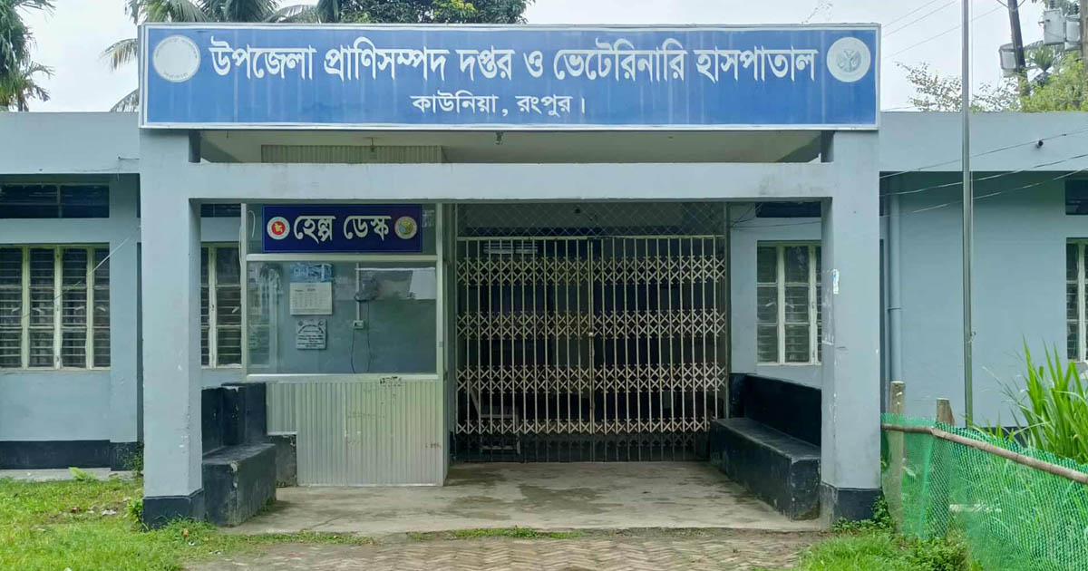 কাউনিয়ায় অ্যানথ্রাক্স আক্রান্ত গরুর মাংস খেয়ে শনাক্ত ২, অসুস্থ আরও ১০ জন