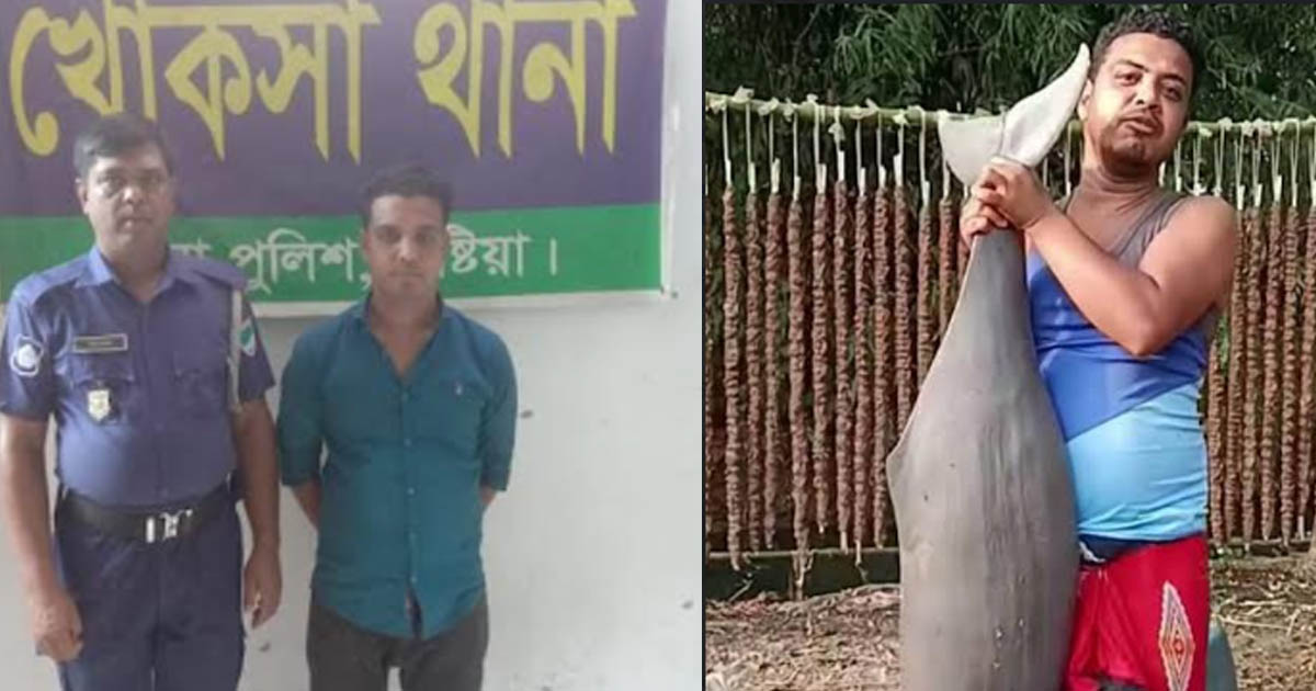 খোকসায় ডলফিন হত্যা করে টিকটকে ভিডিও প্রকাশ: যুবক আটক