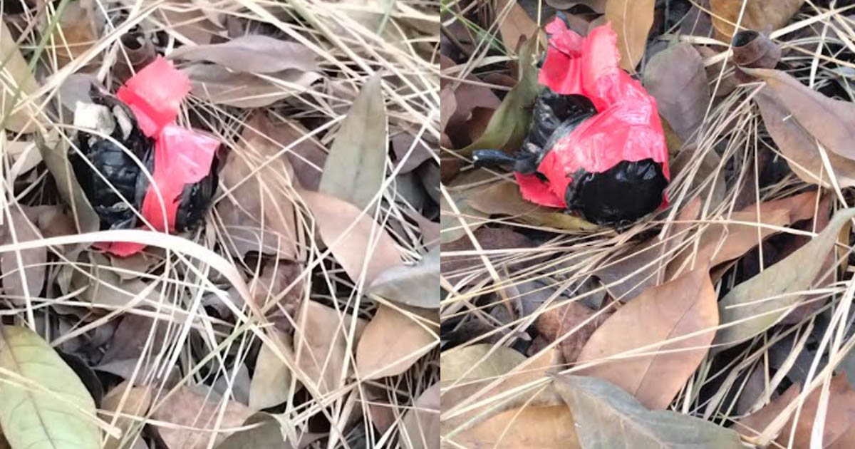 মাগুরায় মেহগনি বাগান থেকে ককটেল সদৃশ বস্তু উদ্ধার