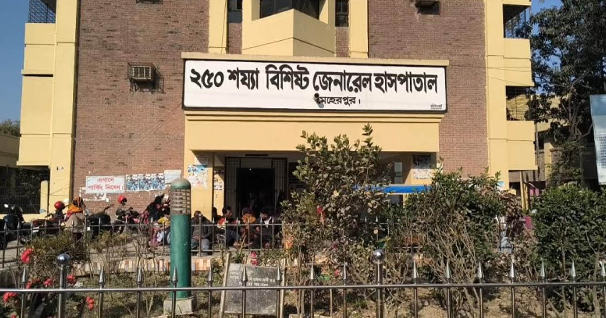 মেহেরপুরে ডাকাতদের কবলে রোগী বহনকারী গাড়ি, শিশুসহ আহত ৫