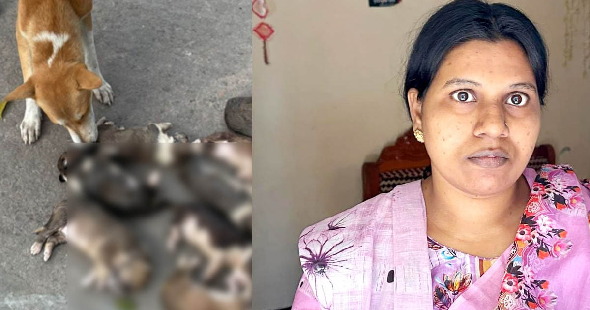 আট কুকুর ছানা হত্যার ঘটনায় মামলা, সরকারি কর্মকর্তার স্ত্রী গ্রেপ্তার