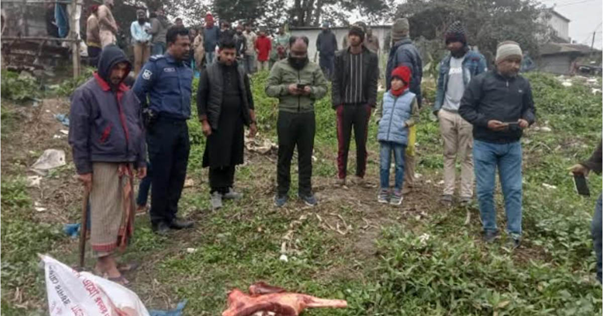 মুকসুদপুরে মরা গরুর পঁচা মাংস বিক্রি: ব্যবসায়ীকে ১৫ দিনের কারাদণ্ড