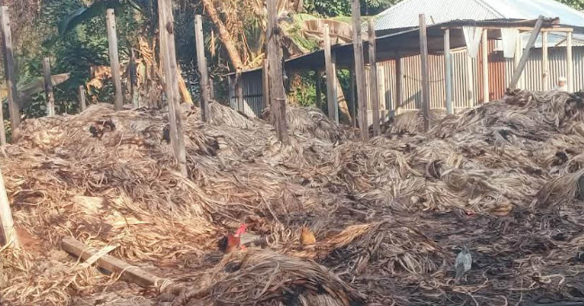 নাগরপুরে ভাদ্রা বাজারে পাটের গোডাউনে অগ্নিকাণ্ড