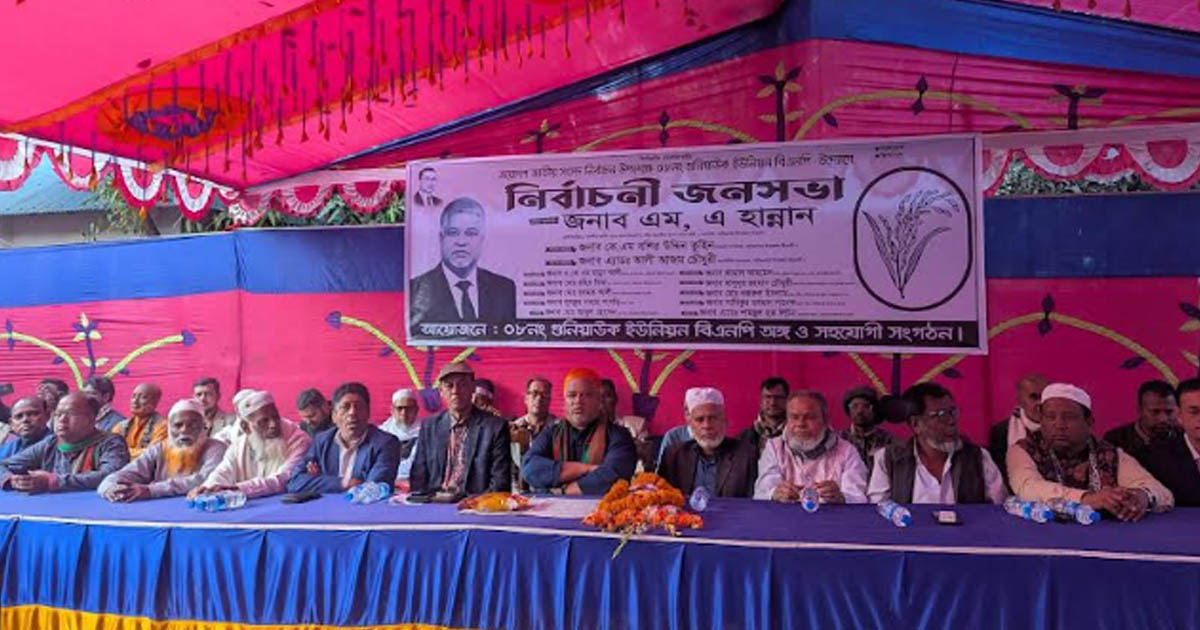 নাসিরনগরে বিএনপির নির্বাচনী জনসভায় সাবেক প্রধানমন্ত্রীর উপ-প্রেস সচিব