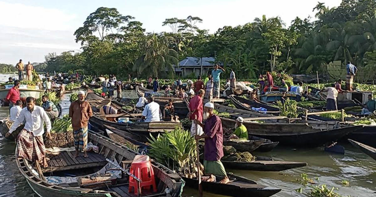 কোটি টাকার লেনদেন হয় বৈঠাকাটার ভাসমান সবজির হাট