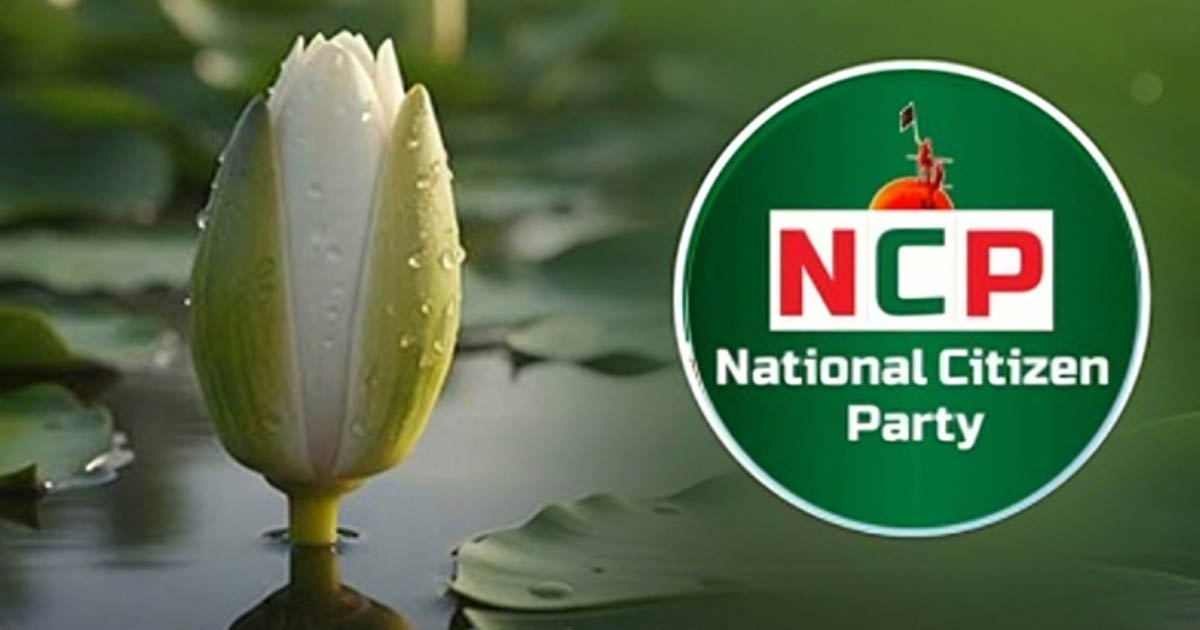 এনসিপি ভেঙে ‘তৃণমূল এনসিপি’র আত্মপ্রকাশ