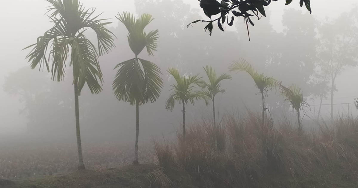 তেঁতুলিয়ায় মৃদু শৈত্যপ্রবাহ অব্যাহত