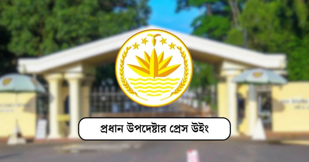 গণভোটে ‘হ্যাঁ’ এর পক্ষে সরকারের সমর্থন নিয়ে ব্যাখ্যা দিল প্রেস উইং