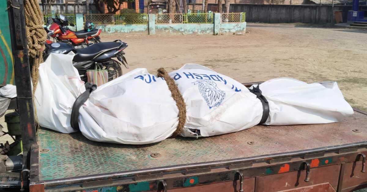 গাংনীতে সড়ক দুর্ঘটনায় মানসিক ভারসাম্যহীন ব্যক্তি নিহত