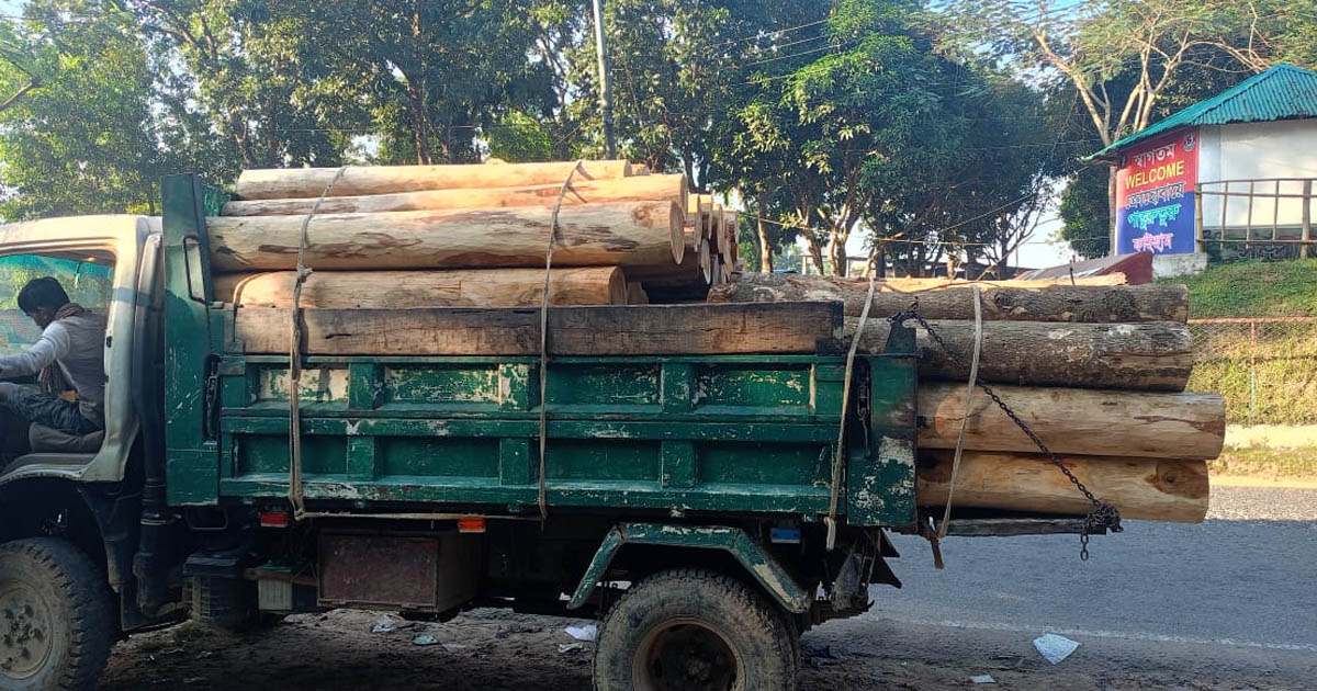 মাটিরাঙ্গা জোনের অভিযানে অবৈধ সেগুন কাঠ জব্দ