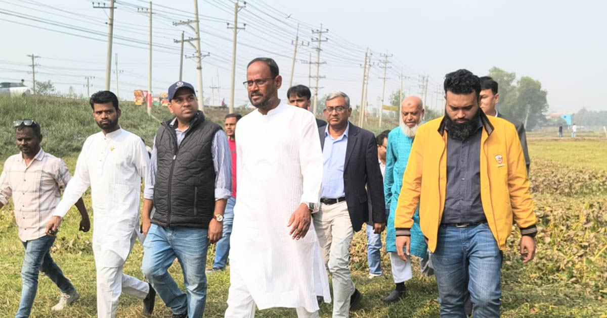 তারেক রহমানের আগমনে টাঙ্গাইলে বিএনপিতে উৎসবের আমেজ