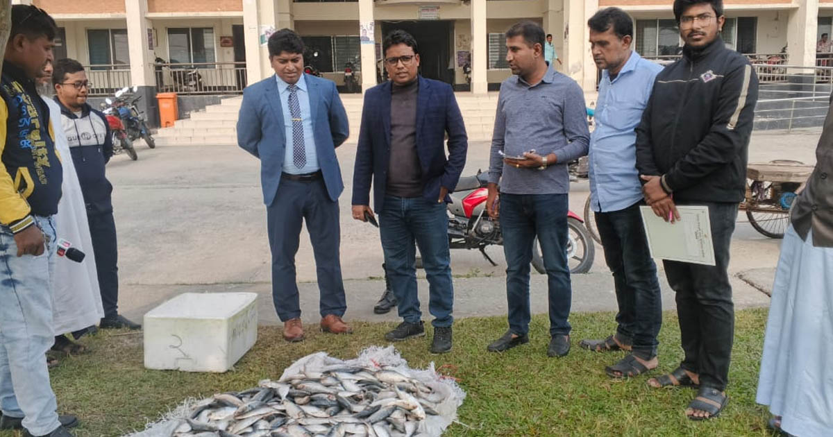 টুঙ্গিপাড়ায় জব্দকৃত ৬০ কেজি জাটকা ইলিশ চার মাদ্রাসা-এতিমখানায় বিতরণ