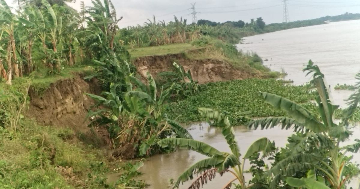 শ্রীপুরে গড়াই নদীর ভাঙনে হুমকিতে দারিয়াপুর