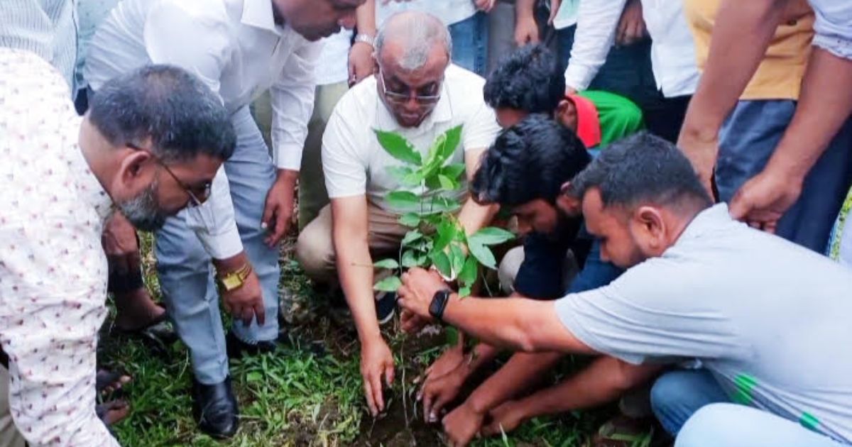 নেত্রকোণায় বৃক্ষরোপণ কর্মসূচির উদ্বোধন