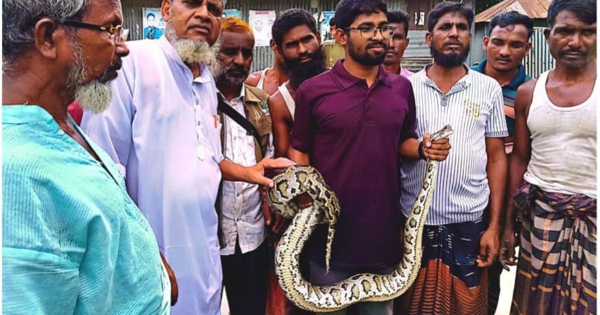 উলিপুরে মাছ ধরা জালে ১০ ফুট লম্বা অজগর আটক