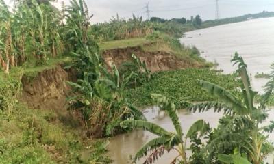 শ্রীপুরে গড়াই নদীর ভাঙনে হুমকিতে দারিয়াপুর