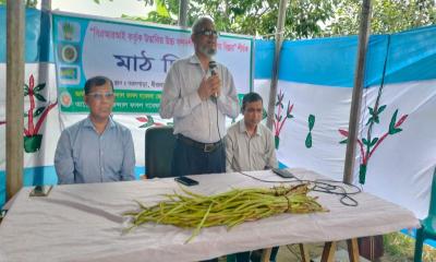 উন্নত পানিকচুর জাত কৃষকের দোরগোড়ায় পৌঁছে দিতে বারির উদ্যোগ