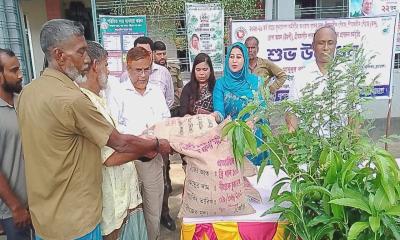 চুয়াডাঙ্গায় ২৫ হাজার চারা বিতরণ