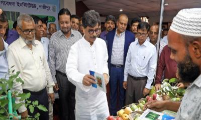 প্রতিকূল আবহাওয়ায় উপযোগী জাত উদ্ভাবনে গুরুত্ব দিতে হবে