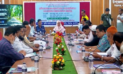 ঈশ্বরগঞ্জে জিআইএসভিত্তিক গ্রামীণ সড়ক মাস্টারপ্ল্যান প্রণয়নে কর্মশালা