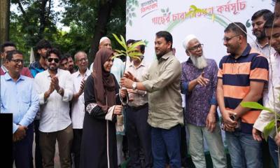 রাজশাহী কলেজ ছাত্রদলের উদ্যোগে গাছের চারা বিতরণ