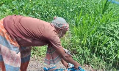 চুয়াডাঙ্গায় রেললাইনের পাশে ক্ষতবিক্ষত নারীর মরদেহ উদ্ধার