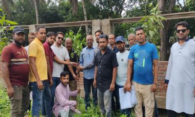 মাগুরা মডেল সরকারি উচ্চ বিদ্যালয়ে জেলা কৃষক দলের বৃক্ষরোপণ কর্মসূচি
