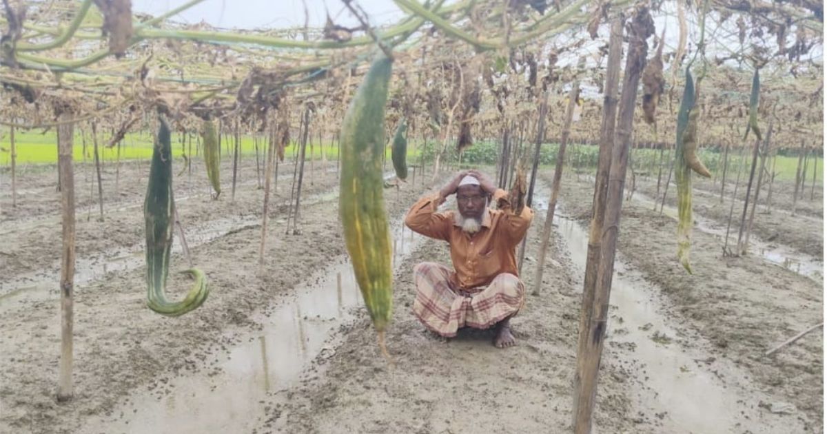 বন্যার ফসল ভেসে যাওয়ায় কৃষক জসিমের মাথায় হাত