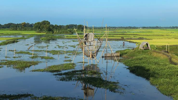 গৌরীপুরে হারিয়ে যাচ্ছে খাল-বিল, বাড়ছে জলাবদ্ধতা ও সেচ সংকট