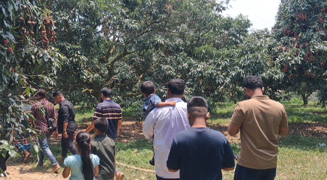 ফলের রাজ্য বিজয়নগর এখন পর্যটকদের মিলনমেলা