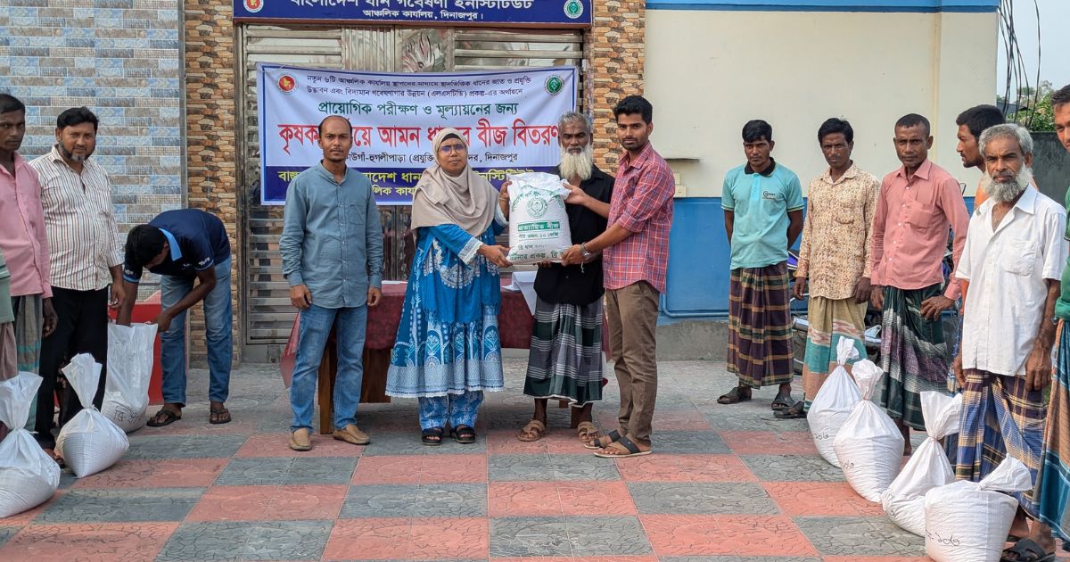 দিনাজপুরে কৃষকদের মাঝে আমন ধানবীজ বিতরণ